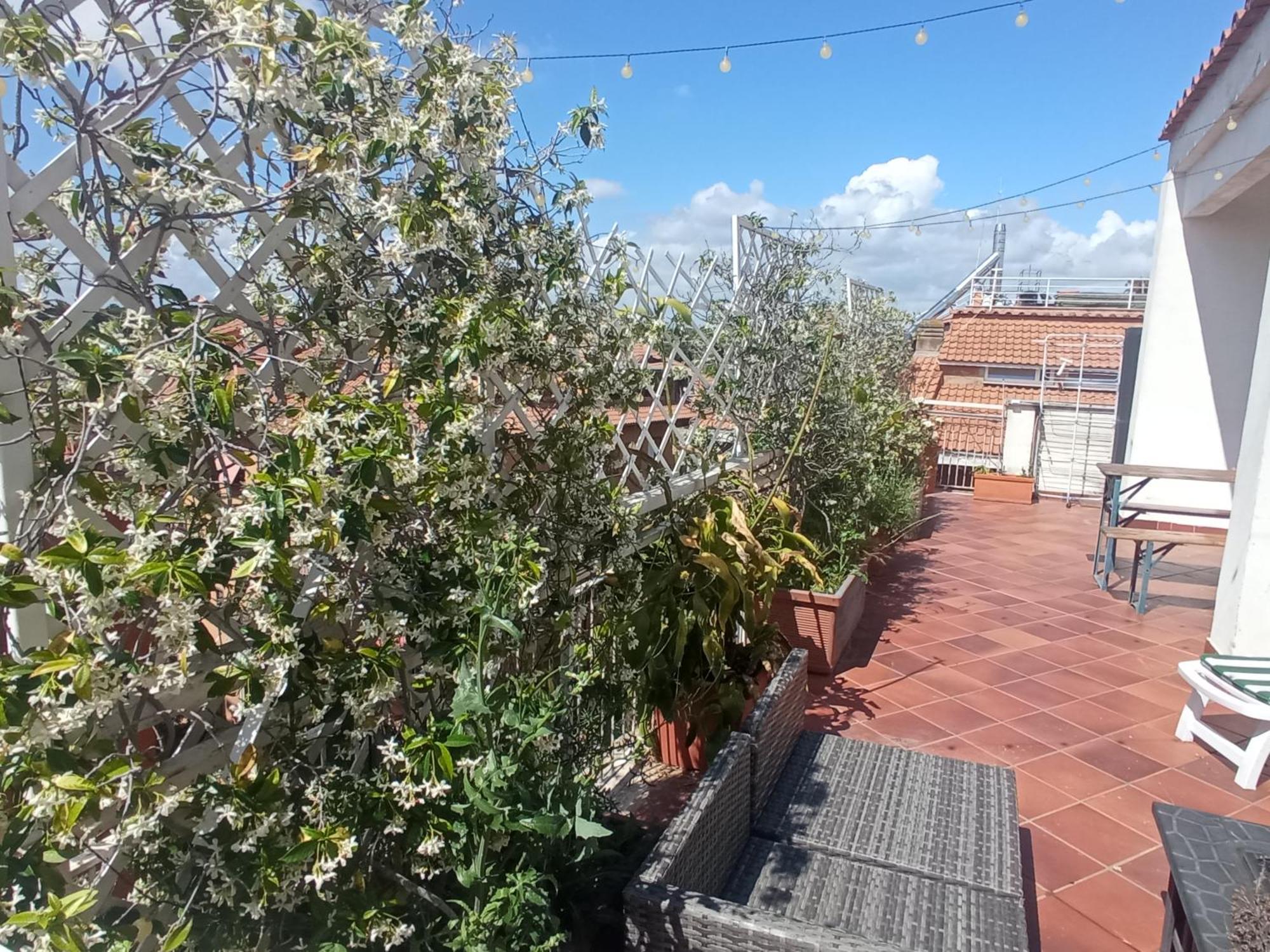 Rooftop Appia Antica,Silenzioso Riservato Two Bedrooms Two Bathrooms ローマ エクステリア 写真